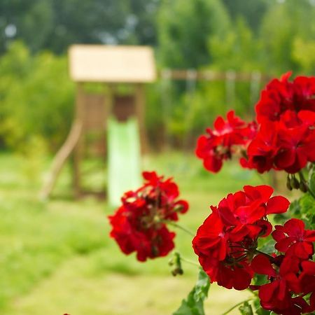 Casuta Cu Prieteni Cornu de Jos Zewnętrze zdjęcie