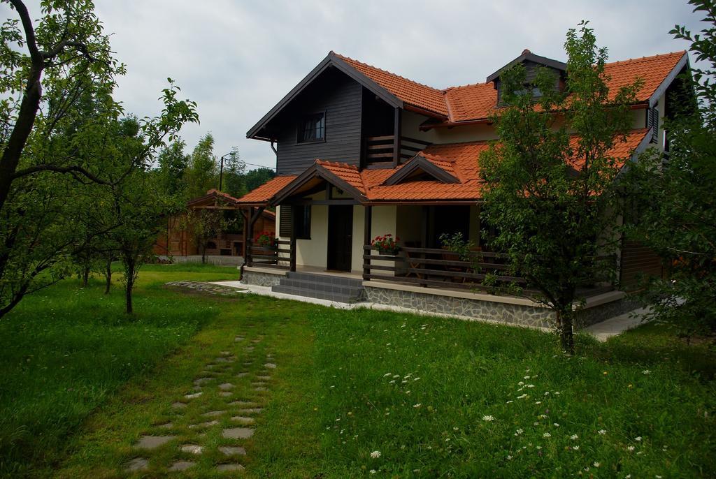 Casuta Cu Prieteni Cornu de Jos Pokój zdjęcie