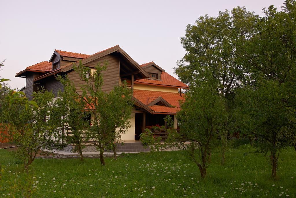 Casuta Cu Prieteni Cornu de Jos Pokój zdjęcie