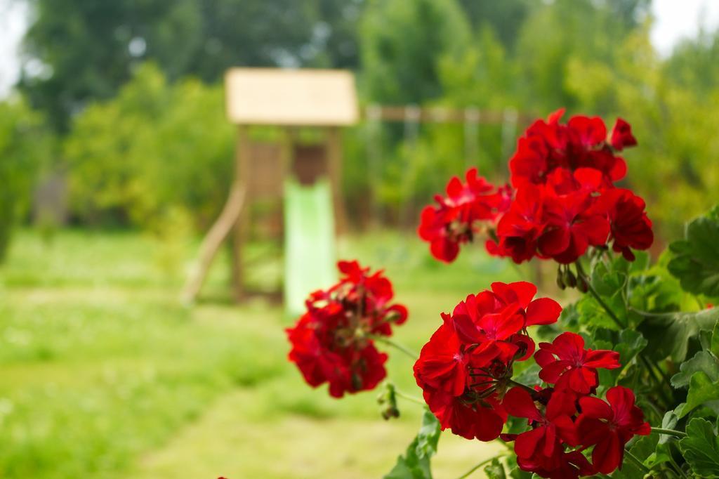 Casuta Cu Prieteni Cornu de Jos Zewnętrze zdjęcie